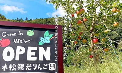 一本松観光りんご園